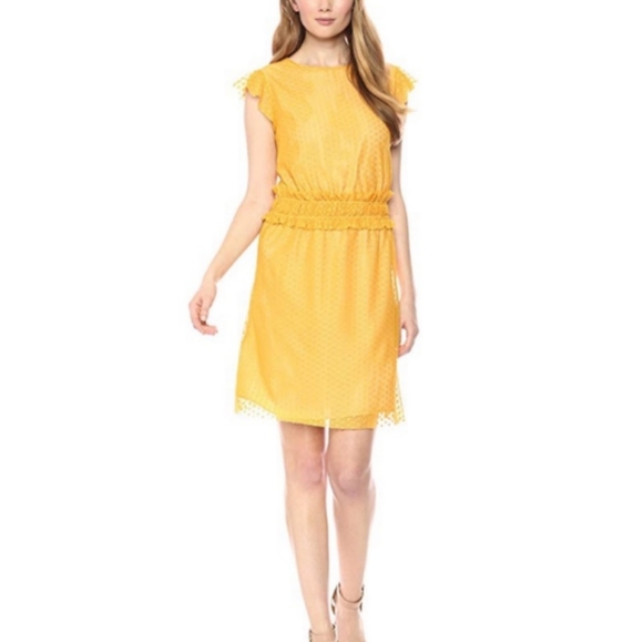 Ella Moon Yellow Polkadot Mesh Dress - Picture 2 of 5